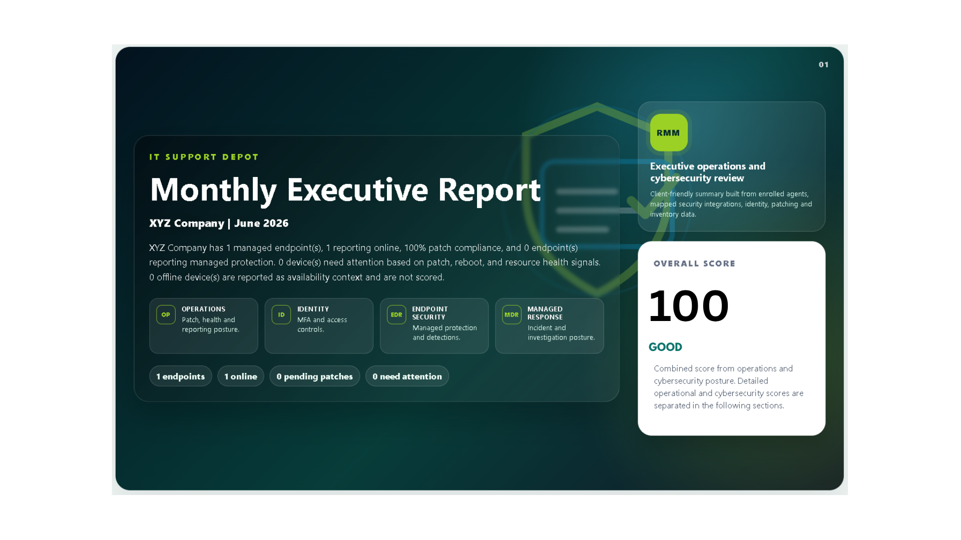 MSPdepot Risk Report detailed preview